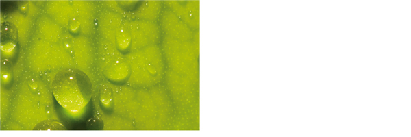 1_Projekt_Nanotechnologie